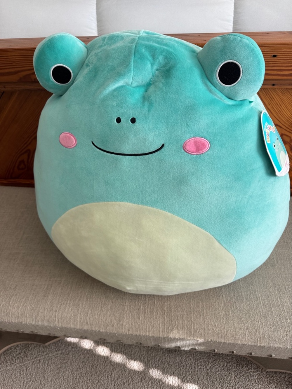 Squishmallows Robert large frog